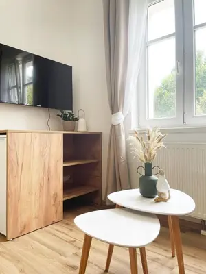 TV/Unterhaltungsangebot in der Unterkunft H2 – Gemütlichkeit in Bad Sauerbrunn!