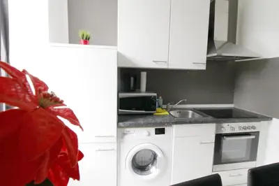 Küche/Küchenzeile in der Unterkunft W Apartment - Brigittenau Area MM15