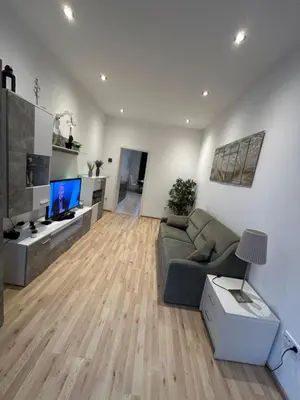 TV/Unterhaltungsangebot in der Unterkunft Vienna City Apartment - Stadthalle