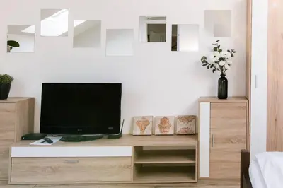 TV/Unterhaltungsangebot in der Unterkunft Helles gemütliches Apartment V5