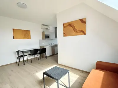 Küche/Küchenzeile in der Unterkunft Reinisch Apartments