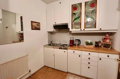 Küche/Küchenzeile in der Unterkunft Innere Stadt Apartment (am Ring)