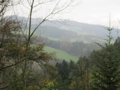 Naturlandschaft in der Nähe der Pension