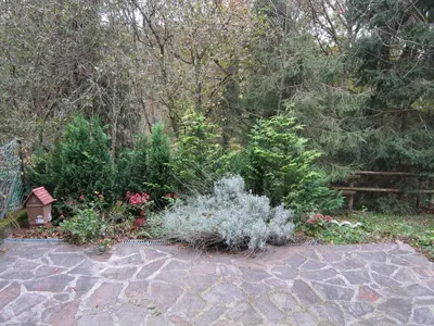 Ein Garten an der Unterkunft Waldpension Stachl
