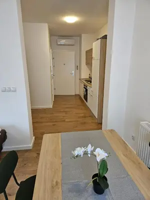 Küche/Küchenzeile in der Unterkunft GardenLoft no 6