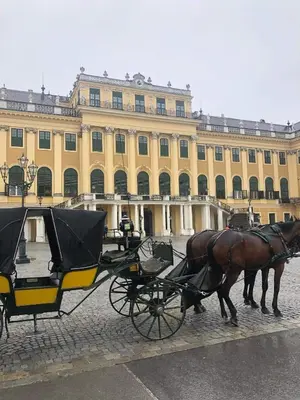 Tiere in der Ferienwohnung oder in der Nähe