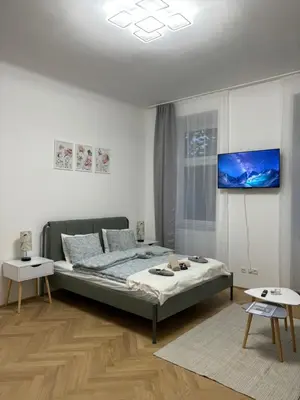 TV/Unterhaltungsangebot in der Unterkunft Apartment Vienna