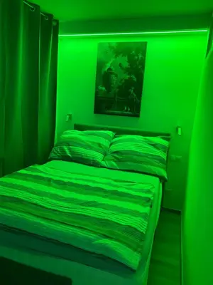 Ein Bett oder Betten in einem Zimmer der Unterkunft NeicApartmentLandskron 1010