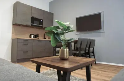 Küche/Küchenzeile in der Unterkunft Viva La Vienna Apartments