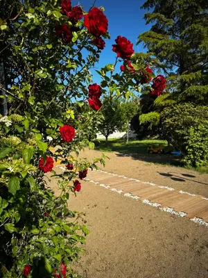 Ein Garten an der Unterkunft Landhaus Pannonia