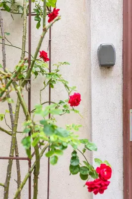 Ein Garten an der Unterkunft Cozy I central I free parking