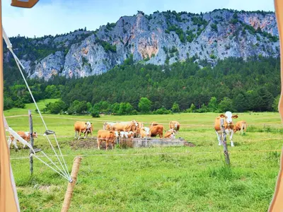 Tiere in der Zelt-Lodge oder in der Nähe