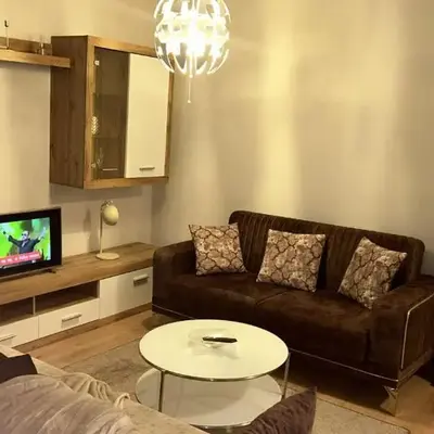 Gesamte Unterkunft Apartment in Wien