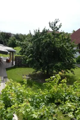 Ein Garten an der Unterkunft Ferienhaus Radlwiesn