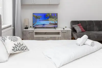 TV/Unterhaltungsangebot in der Unterkunft Apartment-Darwingasse Leopoldstadt