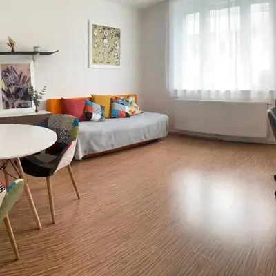 Cosy Vienna home