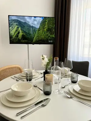 TV/Unterhaltungsangebot in der Unterkunft City Apartment nahe Schönbrunn 13