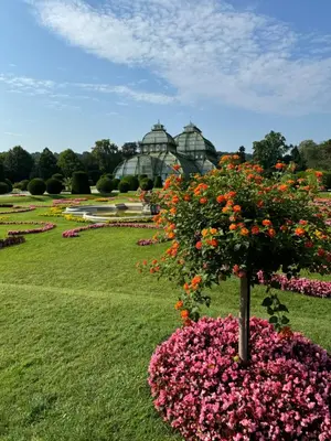 Ein Garten an der Unterkunft City Apartment nahe Schönbrunn 13