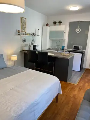 Küche/Küchenzeile in der Unterkunft Studio im Wienerwald - Mödling