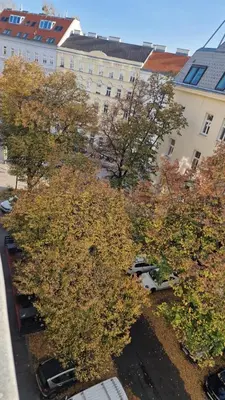 Die Umgebung um die Ferienwohnung