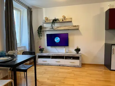 TV/Unterhaltungsangebot in der Unterkunft Apartment für 3 beim Westbahnhof