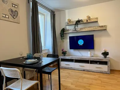 TV/Unterhaltungsangebot in der Unterkunft Apartment für 3 beim Westbahnhof