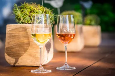 Getränke in der Unterkunft SCHEIBER Wein & Gästehaus