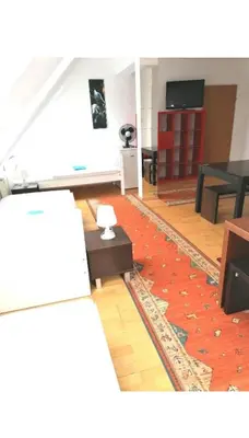 TV/Unterhaltungsangebot in der Unterkunft Vienna Room Nr 14