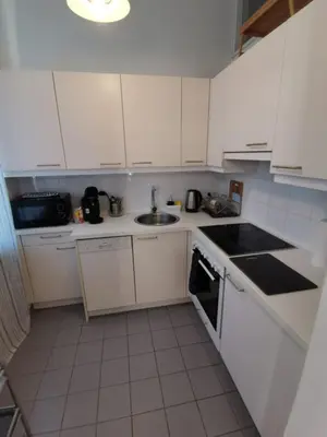Küche/Küchenzeile in der Unterkunft cozy apartment near Schönbrunn 17
