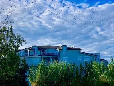Das Gebäude in dem sich die Ferienwohnung befindet