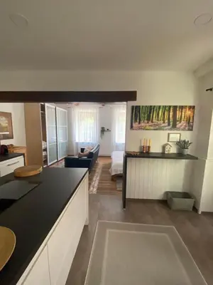 Küche/Küchenzeile in der Unterkunft Apartment mit Sauna im Wienerwald - Mödling