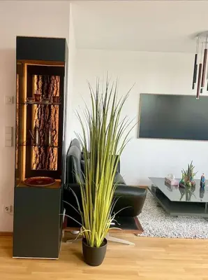 Die Bibliothek in der Ferienwohnung