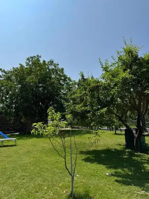 Ein Garten an der Unterkunft Chill & Relax Ferienhaus Breitenbrunn