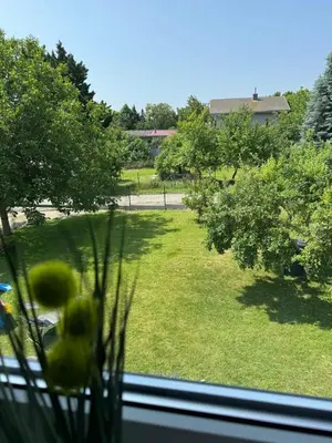 Ein Garten an der Unterkunft Chill & Relax Ferienhaus Breitenbrunn