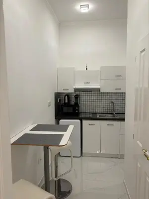 Küche/Küchenzeile in der Unterkunft Vienna Luxury Dream Home