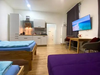 Küche/Küchenzeile in der Unterkunft Vienna Senator Flat Paulus