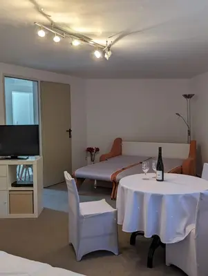 TV/Unterhaltungsangebot in der Unterkunft Apartments in Vienna suburbs - 40 min from Vienna city center
