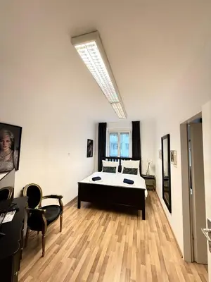 TV/Unterhaltungsangebot in der Unterkunft Royal Apartment Vienna