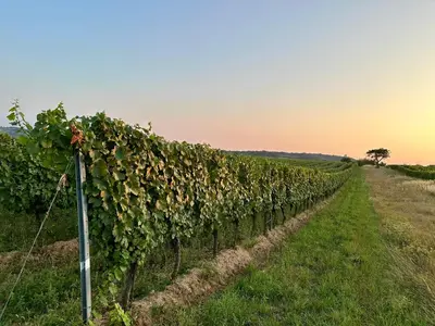 Naturlandschaft in der Nähe der Ferienwohnung