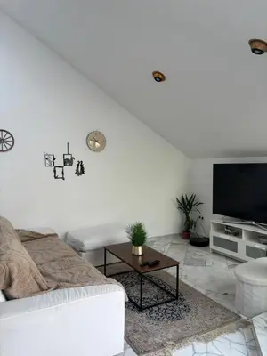 TV/Unterhaltungsangebot in der Unterkunft Apartment