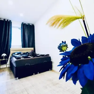 Budget-Friendly 2-Bedroom Apartment with Living Room for 6