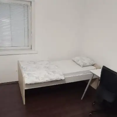 Single room in student apartment
