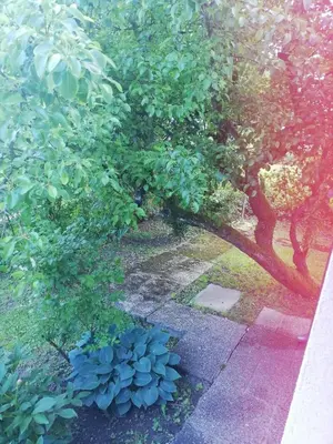 Ein Garten an der Unterkunft Charming Vienna Retreat with Garden Metro Access