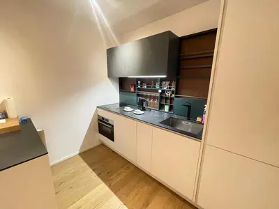 Küche/Küchenzeile in der Unterkunft 1-Bedroom Luxury Apartment in the Heart of Vienna with Kitchen