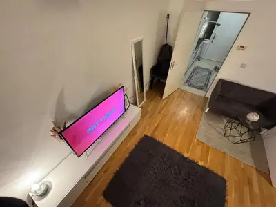 TV/Unterhaltungsangebot in der Unterkunft Stylish Apartment in Vienna
