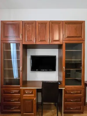 TV/Unterhaltungsangebot in der Unterkunft Studio Apartment