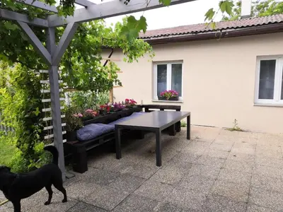 Ein Garten an der Unterkunft Comfortable, family-friendly and top located