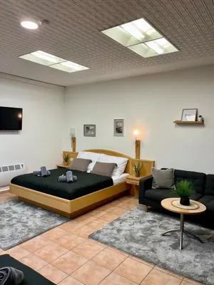 TV/Unterhaltungsangebot in der Unterkunft Spacious Apartment in Vienna Center