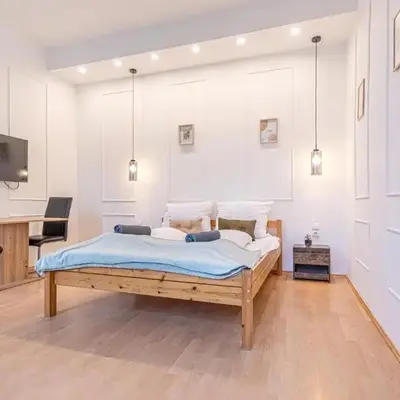 Multiple Apartments and Rooms at The Heart of Vienna