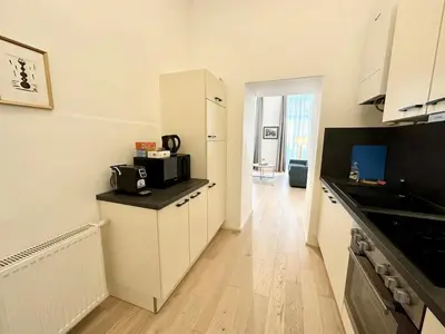 Küche/Küchenzeile in der Unterkunft Panda Apartment